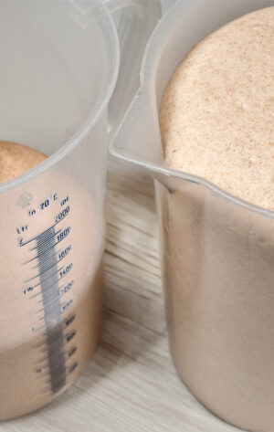 Richemontplus_BA_Grundsauer_R