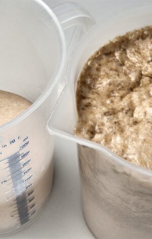 Richemontplus_BA_Anstellgut_R