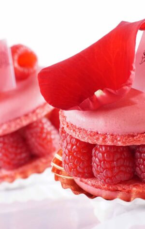 Richemontplus_KO_Pompon_de_Princesse_R